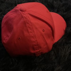 Embroidered Baseball Cap – Wranger